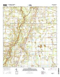 Gardner Florida Current topographic map, 1:24000 scale, 7.5 X 7.5 Minute, Year 2015