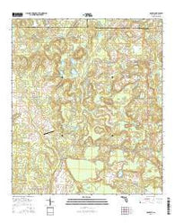 Gaskin Florida Current topographic map, 1:24000 scale, 7.5 X 7.5 Minute, Year 2015