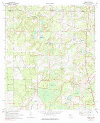 Gaskin Florida Historical topographic map, 1:24000 scale, 7.5 X 7.5 Minute, Year 1973