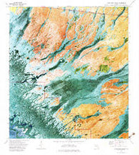 Gator Hook Swamp Florida Historical topographic map, 1:24000 scale, 7.5 X 7.5 Minute, Year 1973