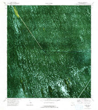 Gator Lake Florida Historical topographic map, 1:24000 scale, 7.5 X 7.5 Minute, Year 1973