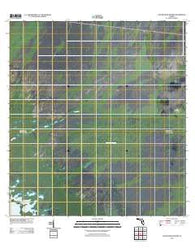 Gator Hook Swamp Florida Historical topographic map, 1:24000 scale, 7.5 X 7.5 Minute, Year 2012