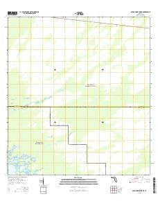 Gator Hook Swamp Florida Current topographic map, 1:24000 scale, 7.5 X 7.5 Minute, Year 2015