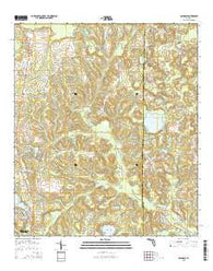 Glendale Florida Current topographic map, 1:24000 scale, 7.5 X 7.5 Minute, Year 2015
