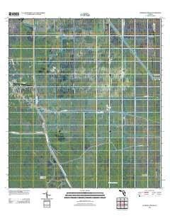 Goddens Strand Florida Historical topographic map, 1:24000 scale, 7.5 X 7.5 Minute, Year 2012
