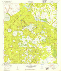 Gold Head Branch Florida Historical topographic map, 1:24000 scale, 7.5 X 7.5 Minute, Year 1949