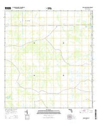 Graham Marsh Florida Current topographic map, 1:24000 scale, 7.5 X 7.5 Minute, Year 2015