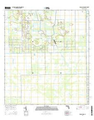 Grassy Marsh Florida Current topographic map, 1:24000 scale, 7.5 X 7.5 Minute, Year 2015