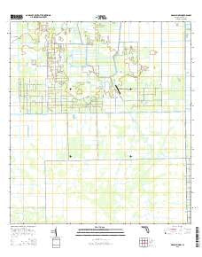 Grassy Marsh Florida Current topographic map, 1:24000 scale, 7.5 X 7.5 Minute, Year 2015