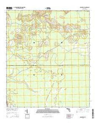 Greenville SE Florida Current topographic map, 1:24000 scale, 7.5 X 7.5 Minute, Year 2015