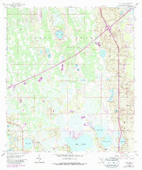 Gum Lake Florida Historical topographic map, 1:24000 scale, 7.5 X 7.5 Minute, Year 1959