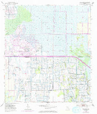 Gum Slough Florida Historical topographic map, 1:24000 scale, 7.5 X 7.5 Minute, Year 1953
