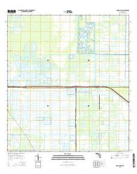 Gum Slough Florida Current topographic map, 1:24000 scale, 7.5 X 7.5 Minute, Year 2015