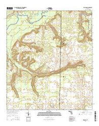 Harold SE Florida Current topographic map, 1:24000 scale, 7.5 X 7.5 Minute, Year 2015