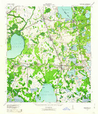 Hawthorn Florida Historical topographic map, 1:62500 scale, 15 X 15 Minute, Year 1943