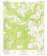 High Springs SW Florida Historical topographic map, 1:24000 scale, 7.5 X 7.5 Minute, Year 1969