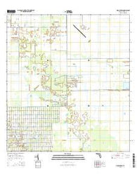 Hog Cypress Florida Current topographic map, 1:24000 scale, 7.5 X 7.5 Minute, Year 2015