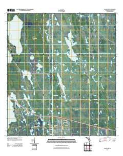 Holopaw Florida Historical topographic map, 1:24000 scale, 7.5 X 7.5 Minute, Year 2012