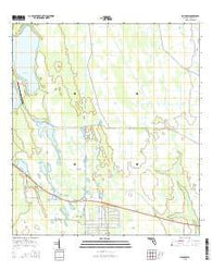 Holopaw Florida Current topographic map, 1:24000 scale, 7.5 X 7.5 Minute, Year 2015