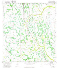 Holopaw SE Florida Historical topographic map, 1:24000 scale, 7.5 X 7.5 Minute, Year 1953