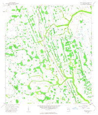 Holopaw SE Florida Historical topographic map, 1:24000 scale, 7.5 X 7.5 Minute, Year 1953