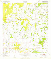 Holopaw SW Florida Historical topographic map, 1:24000 scale, 7.5 X 7.5 Minute, Year 1953