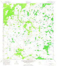 Holopaw SW Florida Historical topographic map, 1:24000 scale, 7.5 X 7.5 Minute, Year 1953