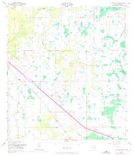Holopaw SW Florida Historical topographic map, 1:24000 scale, 7.5 X 7.5 Minute, Year 1953