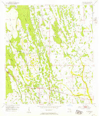 Holopaw Florida Historical topographic map, 1:24000 scale, 7.5 X 7.5 Minute, Year 1953