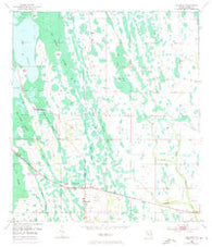 Holopaw Florida Historical topographic map, 1:24000 scale, 7.5 X 7.5 Minute, Year 1953