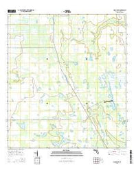 Holopaw SE Florida Current topographic map, 1:24000 scale, 7.5 X 7.5 Minute, Year 2015