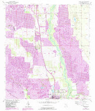Homeland Florida Historical topographic map, 1:24000 scale, 7.5 X 7.5 Minute, Year 1952