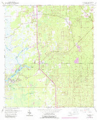 Homosassa Florida Historical topographic map, 1:24000 scale, 7.5 X 7.5 Minute, Year 1954