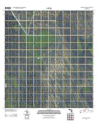 Horseshoe Head Florida Historical topographic map, 1:24000 scale, 7.5 X 7.5 Minute, Year 2012
