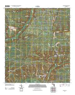 Hosford Florida Historical topographic map, 1:24000 scale, 7.5 X 7.5 Minute, Year 2012