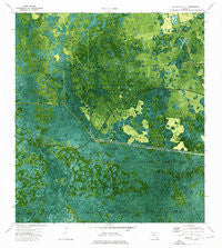 Immokalee 1 SE Florida Historical topographic map, 1:24000 scale, 7.5 X 7.5 Minute, Year 1974