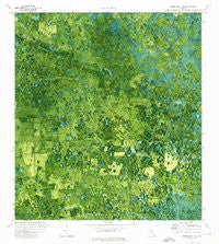 Immokalee 1 SW Florida Historical topographic map, 1:24000 scale, 7.5 X 7.5 Minute, Year 1974