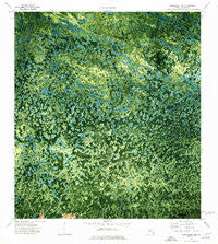Immokalee 4 SE Florida Historical topographic map, 1:24000 scale, 7.5 X 7.5 Minute, Year 1974
