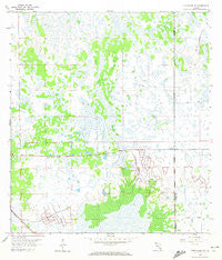 Immokalee NE Florida Historical topographic map, 1:24000 scale, 7.5 X 7.5 Minute, Year 1958