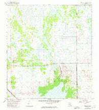 Immokalee NE Florida Historical topographic map, 1:24000 scale, 7.5 X 7.5 Minute, Year 1958