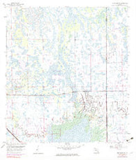Immokalee NE Florida Historical topographic map, 1:24000 scale, 7.5 X 7.5 Minute, Year 1958