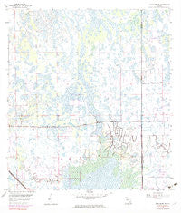 Immokalee NE Florida Historical topographic map, 1:24000 scale, 7.5 X 7.5 Minute, Year 1958