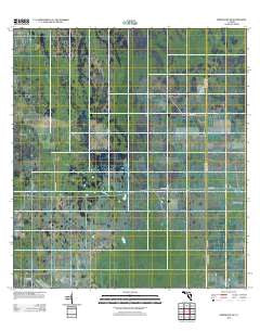 Immokalee NE Florida Historical topographic map, 1:24000 scale, 7.5 X 7.5 Minute, Year 2012