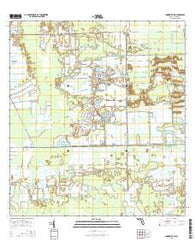 Immokalee SW Florida Current topographic map, 1:24000 scale, 7.5 X 7.5 Minute, Year 2015