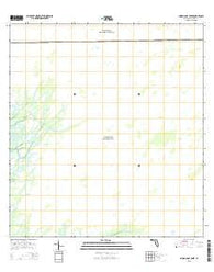 Indian Camp Creek Florida Current topographic map, 1:24000 scale, 7.5 X 7.5 Minute, Year 2015