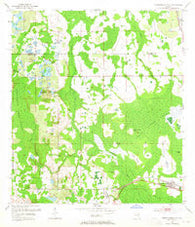 Intercession City Florida Historical topographic map, 1:24000 scale, 7.5 X 7.5 Minute, Year 1953