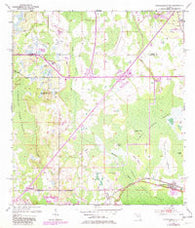 Intercession City Florida Historical topographic map, 1:24000 scale, 7.5 X 7.5 Minute, Year 1953