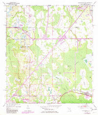 Intercession City Florida Historical topographic map, 1:24000 scale, 7.5 X 7.5 Minute, Year 1953