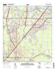 Intercession City Florida Current topographic map, 1:24000 scale, 7.5 X 7.5 Minute, Year 2015