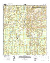 Izagora Florida Current topographic map, 1:24000 scale, 7.5 X 7.5 Minute, Year 2015